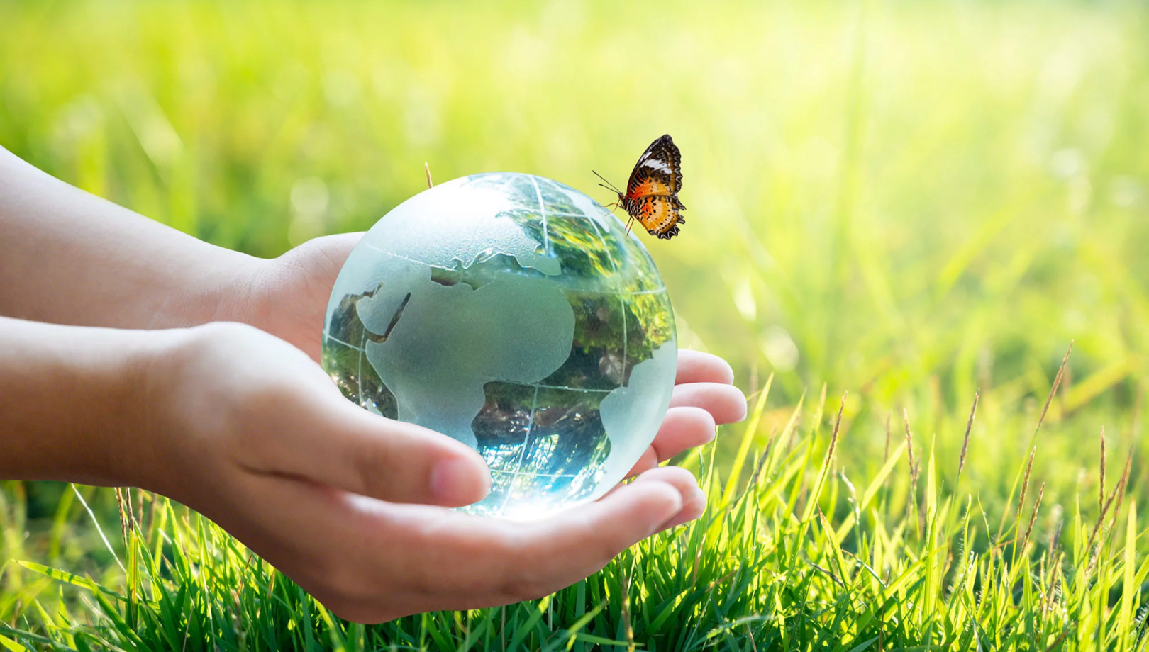 media.ecomondo_Stock_429247381